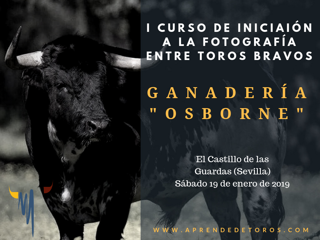 Descuento en el curso de iniciación a la fotografía entre toros bravos de Aprende de Toros
