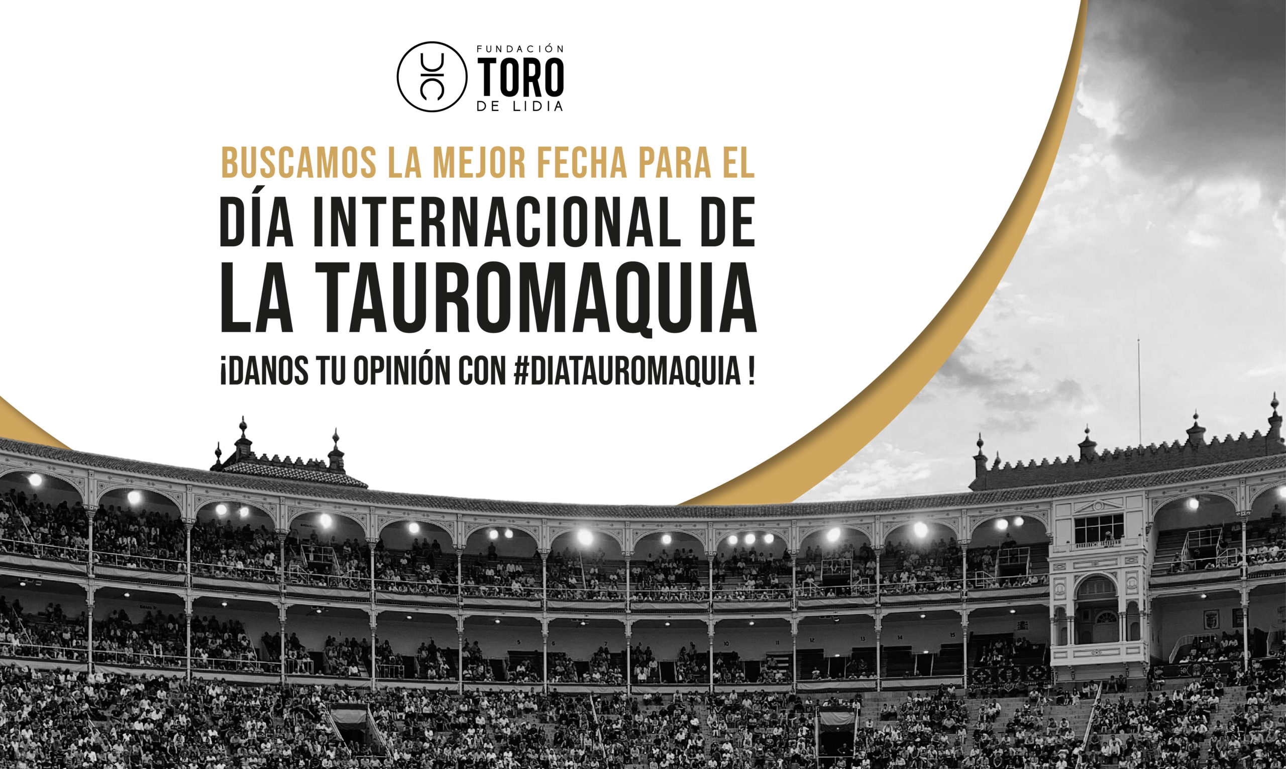 La Fundación Toro de Lidia propone la creación del Día Internacional de la Tauromaquia