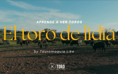 ‘Aprende a ver toros’ estrena su tercera temporada de la mano de Tauromaquia Like
