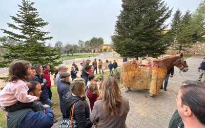 Albacete celebra su III Semana taurino-cultural con una amplia programación