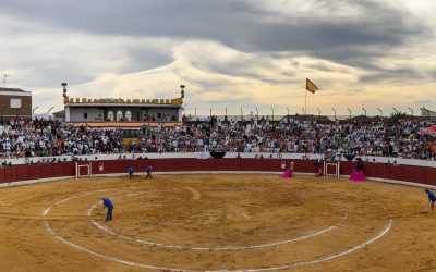 La Justicia avala el modelo del Circuito de Novilladas de Castilla y León y refuerza la colaboración entre la Junta y la Fundación Toro de Lidia